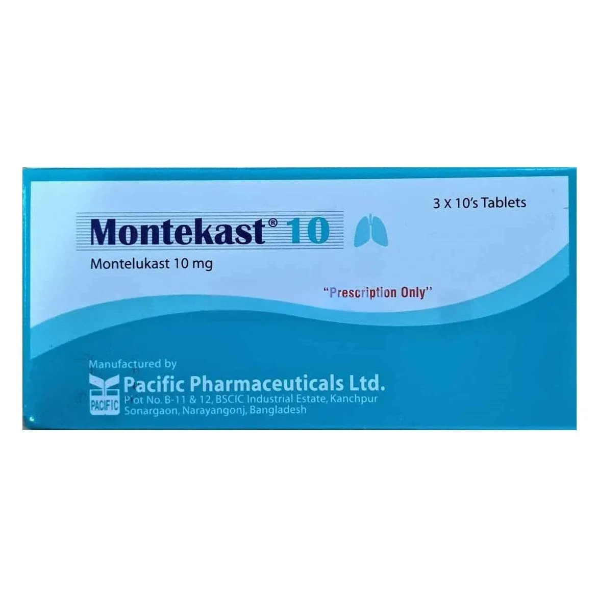 Montekast 10